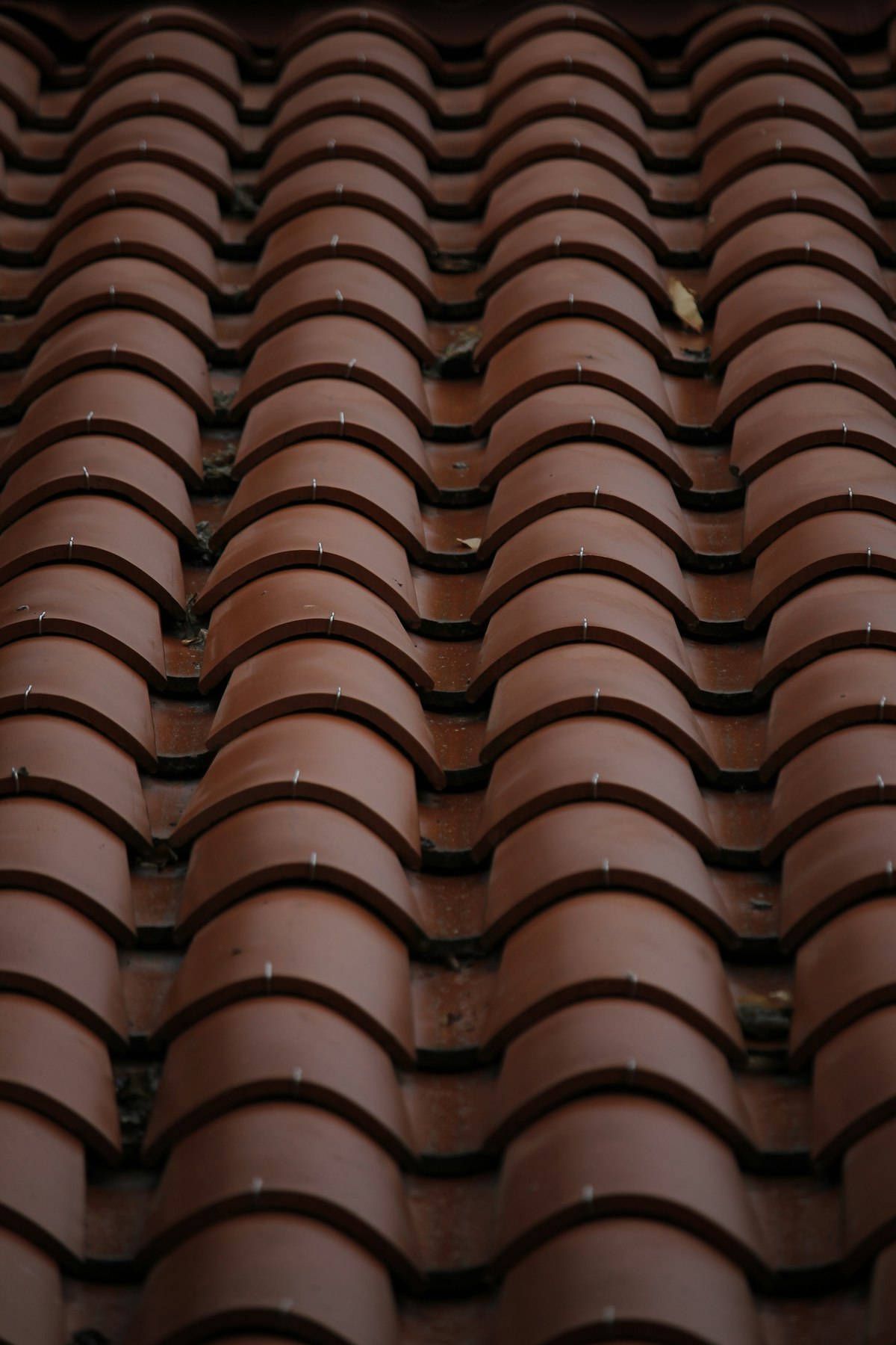 Terracotta clay roof tiles