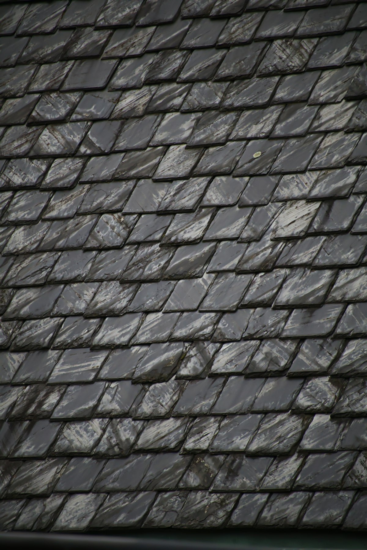 Wet natural slate roof tiles